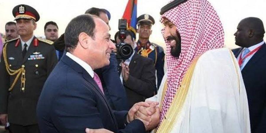 مصر والسعودية تشددان على ضرورة الإسراع في إدخال المساعدات الإنسانية إلى غزة دون عوائق