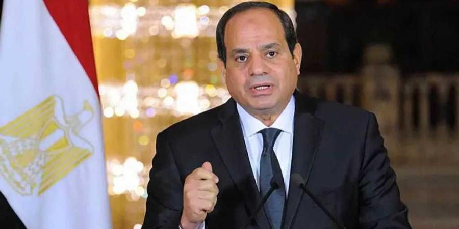 السيسي: دعم مصر للمبادرات السعودية يعكس التزامنا بالقضية الفلسطينية