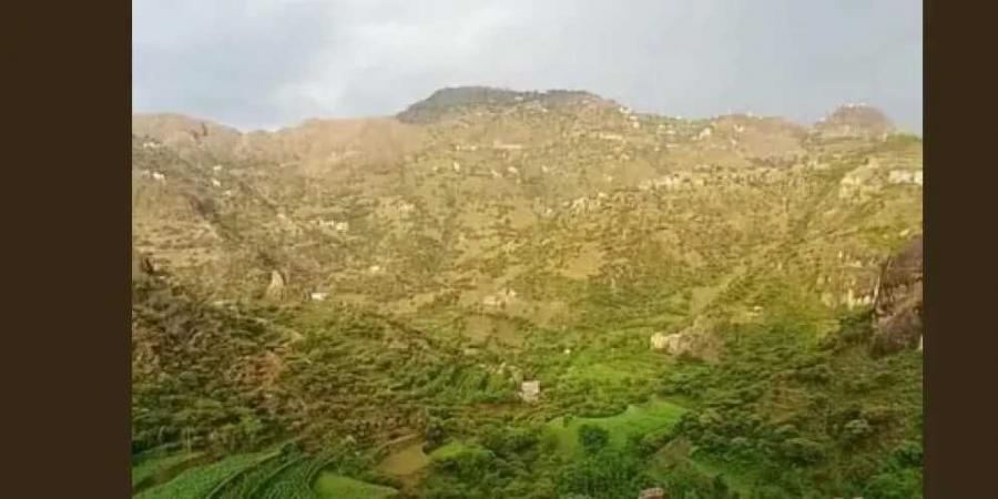 اختطاف طالب قرآن من داخل مسجد سلفي في وصاب العالي
