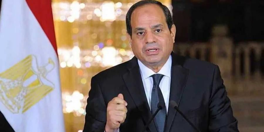السيسي وبن سلمان يلتقيان في نيوم… شراكة استراتيجية في أولويات الحوار