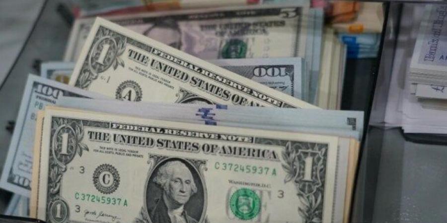 هل يواصل الدولار تراجعه أمام الجنيه؟.. «عوامل تحسن الاقتصاد»