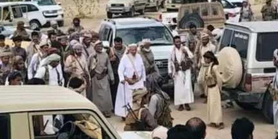 صوت العقل ينتصر .. قبائل مأرب توحد جهودها لوقف القتال في وادي عبيدة
