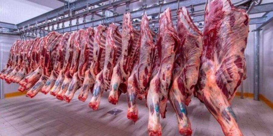 الكندوز بـ 420 جنيها.. أسعار اللحوم اليوم الخميس 21 أغسطس 2025
