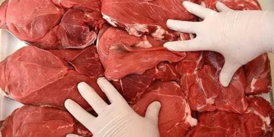 خروف وطنى بـ84دينار ..أسعار اللحوم والدواجن بالسوق الليبى