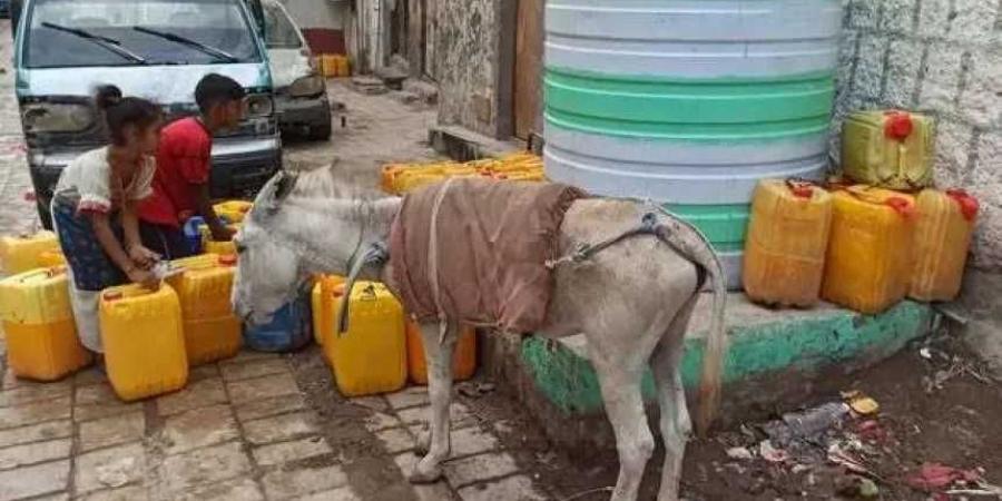 أزمة مياه غير مسبوقة تضرب حضرموت: 3 أسابيع بلا قطرة ماء في حارات بأكملها!