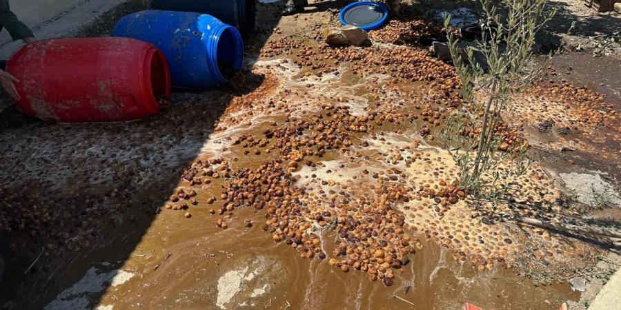 الحرب على الخمور تقود درك وزان لمصنع سري متخصص في تقطير ماء الحياة (صور)