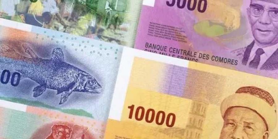 أسعار الفرنك القمري مقابل الجنيه المصري بداية تعاملات اليوم الجمعة 22 - 8- 2025