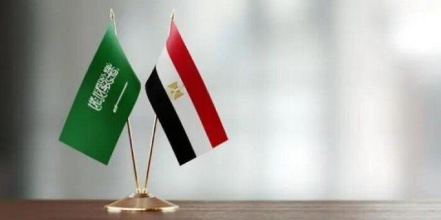 أمين الجامعات الإسلامية: مصر والسعودية هما جناحا الأمتين العربية والإسلامية