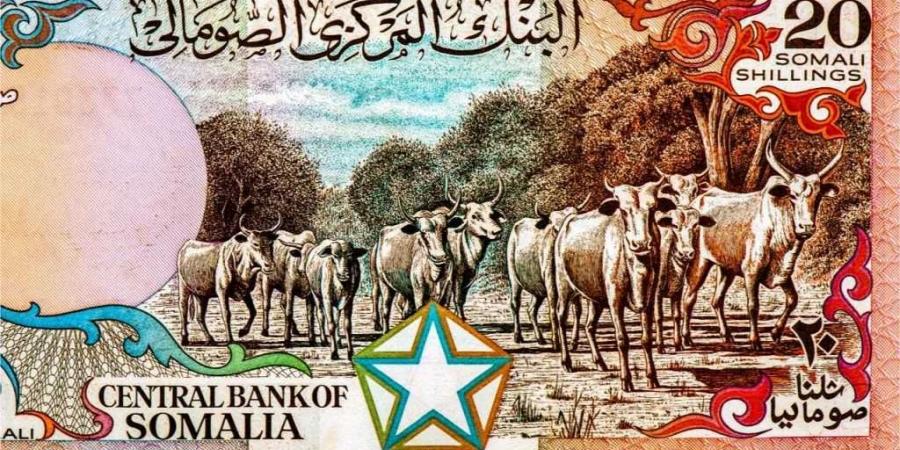 أسعار الشلن الصومالي مقابل الجنيه المصري بداية تعاملات اليوم الجمعة 22 - 8- 2025