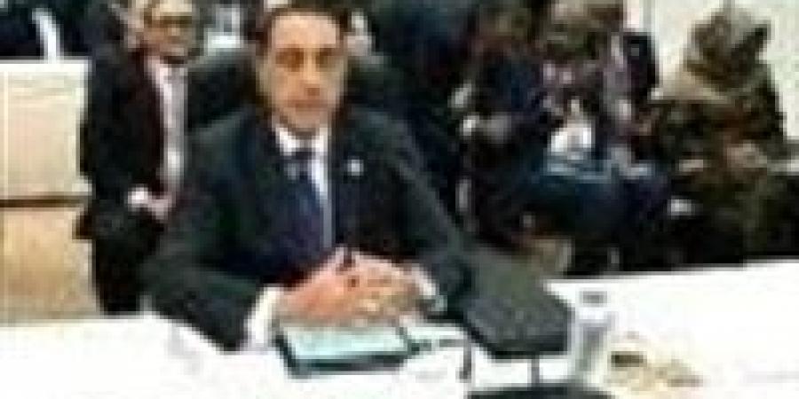 مدبولي: نتطلع لإقامة منطقة صناعية يابانية في قناة السويس