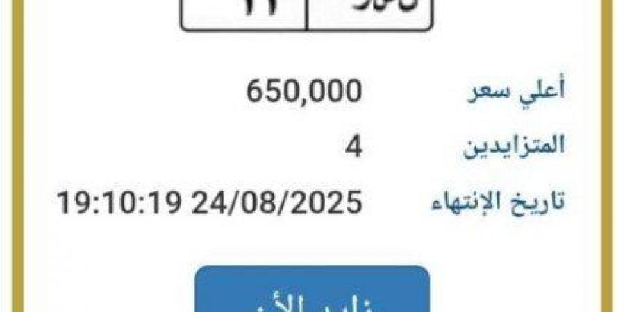 «نصر - 11».. المرور تطرح لوحة سيارة مميزة للتزايد