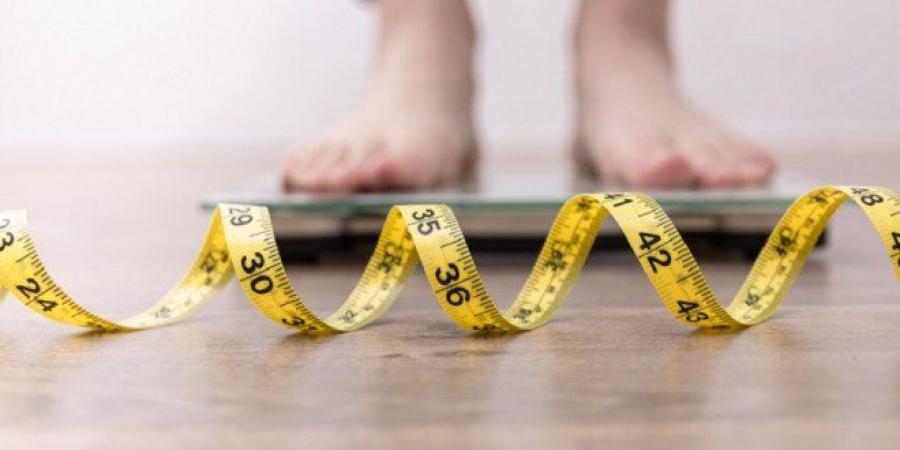 ابتكار طبي.. حبيبات نباتية دقيقة لإنقاص الوزن دون جراحة أو أدوية