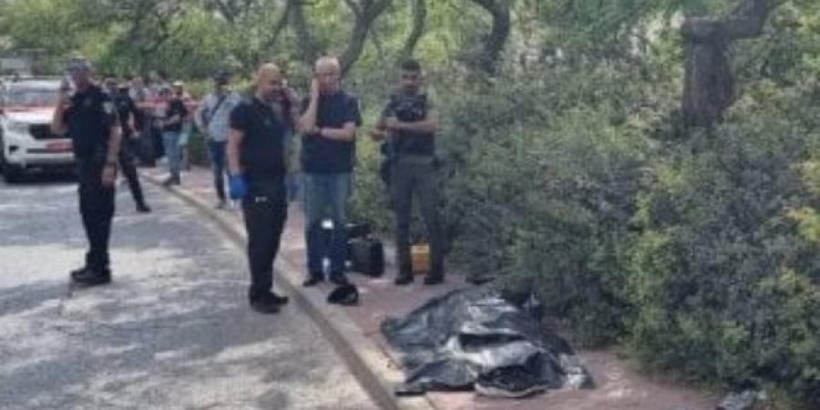 استشهاد طفلين فلسطينيين في قصف إسرائيلي شمال غزة