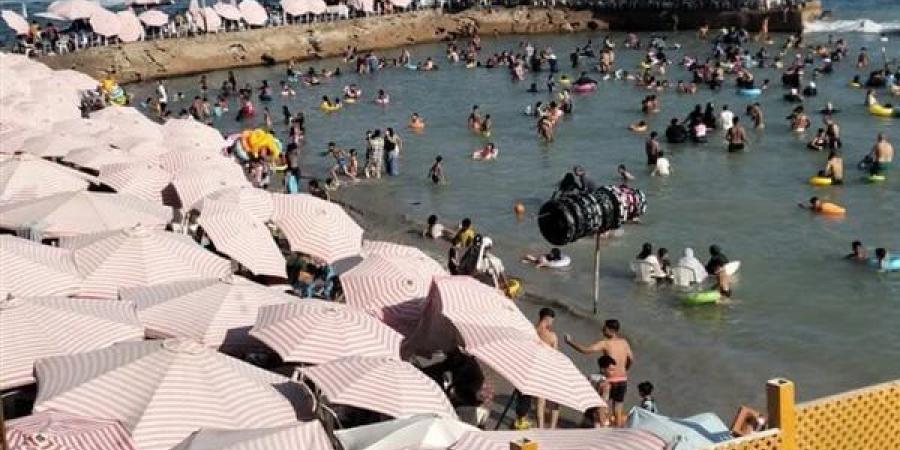 4 حالات حرجة.. تفاصيل الوضع الصحي للناجين من حادث الغرق بشاطئ أبو تلات بالإسكندرية وأسماء الحصيلة النهائية