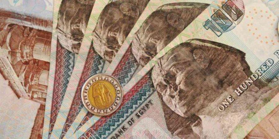 قبل اجتماع المركزي.. تعرف على شهادات الادخار في البنك الأهلي وبنك مصر