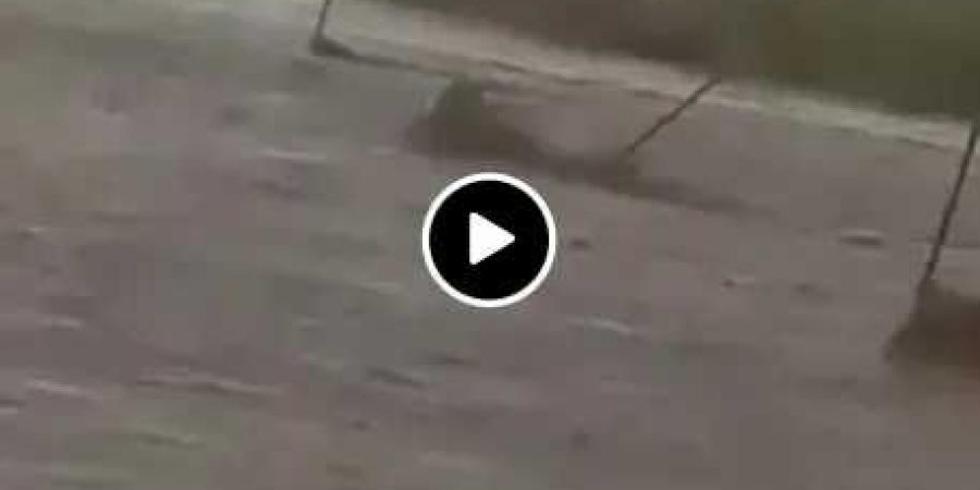 خسائر بشرية وأضرار مادية بسبب الأمطار في المناطق الساحلية