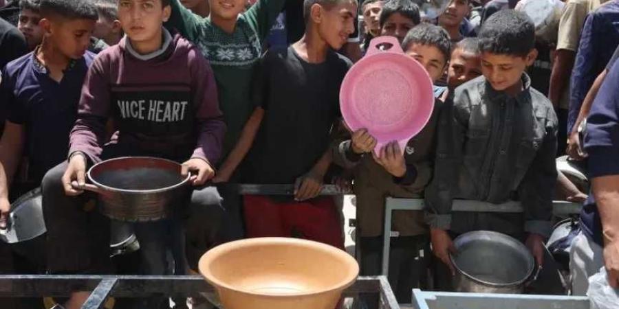 شهداء الجوع في غزة يتزايدون: 289 روحًا أزهقها التجويع الإسرائيلي الممنهج