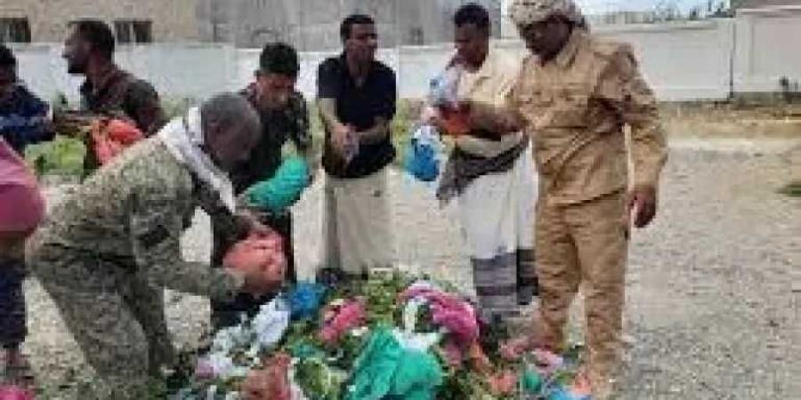 ”السلطة تُعلن الحرب.. والشعب يُطلق الحجارة: معركة القات في سقطرى تشتعل”
