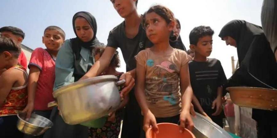 غزة: 8 وفيات جديدة من الجوع و64 شهيدًا و278 جريحا خلال 24 ساعة