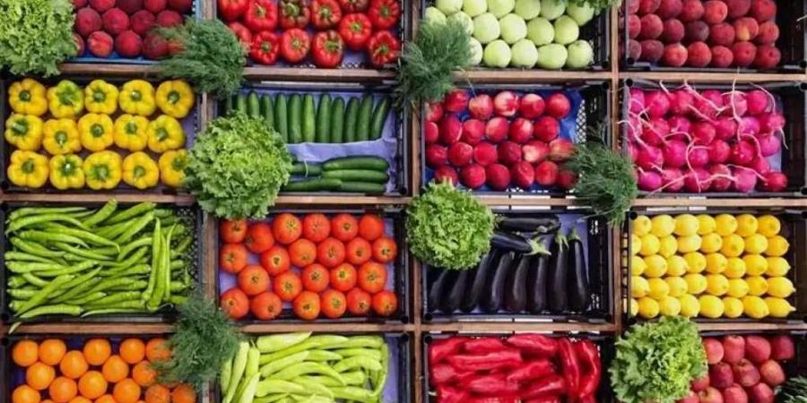 قبل ما تروح السوق.. شوف أسعار الخضار والفاكهة النهاردة فى مصر