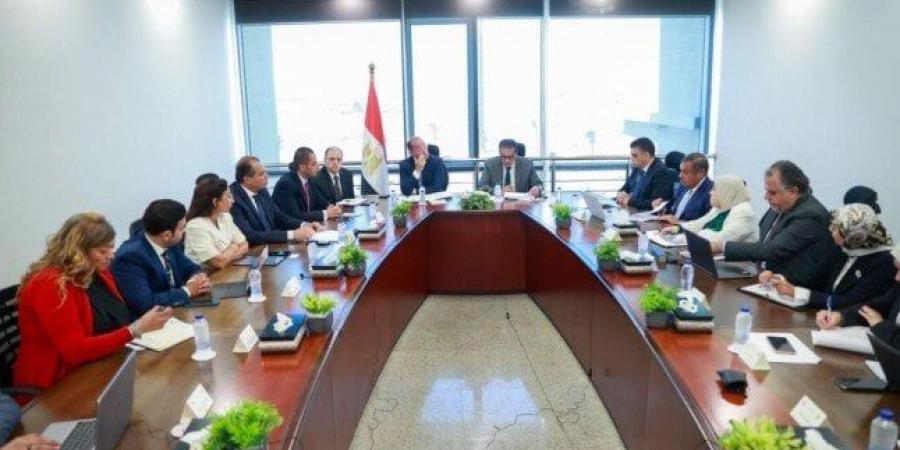 وزير المالية: «حريصون على تعزيز التواجد الخارجي للمنتجات الطبية المصرية»
