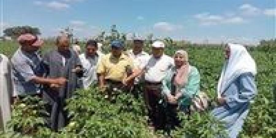 تعزيز التعاون بين الزراعة والري من أجل إدارة ذكية للمياه