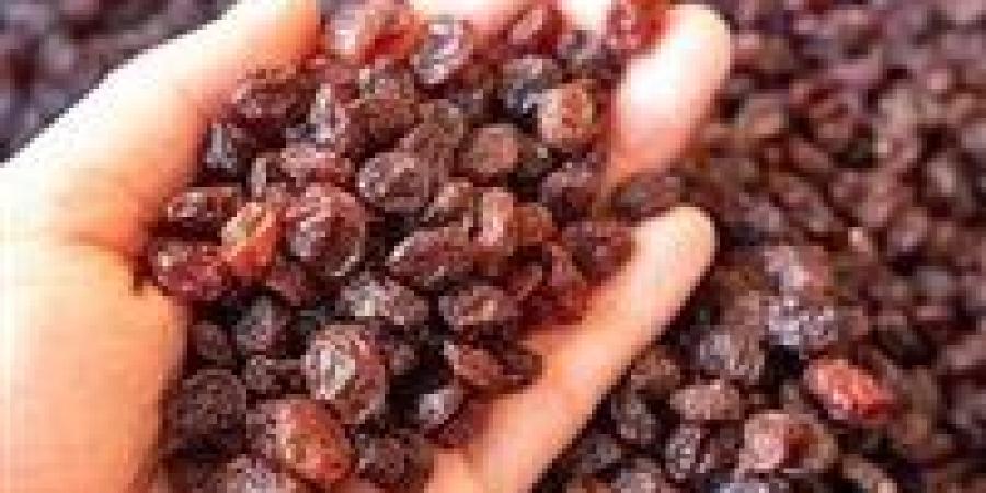 الزبيب.. فوائده وأنواعه بين الطب الشعبي والدراسات الحديثة