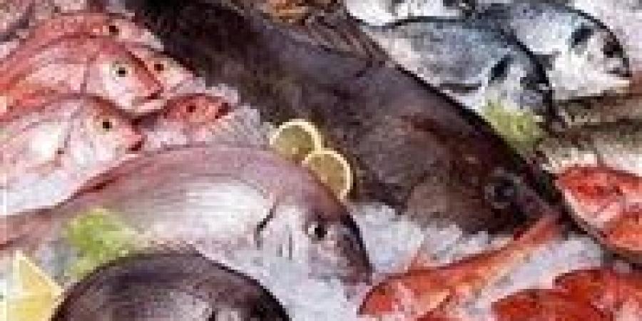 البلطي بـ70 جنيه..أسعار السمك اليوم الأحد 24-8-2025