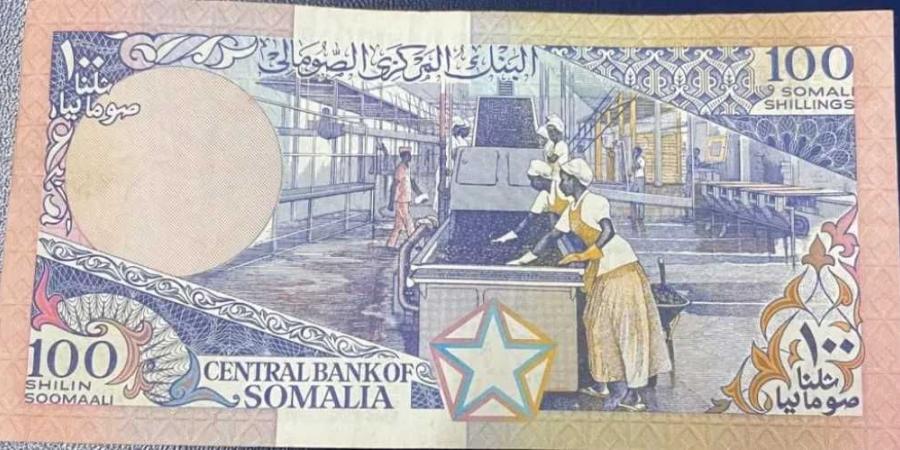 أسعار الشلن الصومالي مقابل الجنيه المصري بداية تعاملات اليوم الأحد 24 - 8- 2025