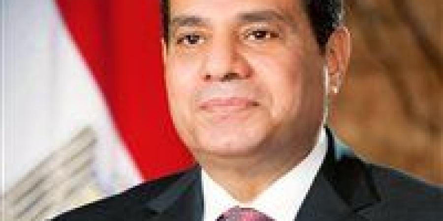 الرئيس السيسي يوجه بمواصلة تطوير شبكة الموانئ بما يحقق التكامل مع البنية التحتية التي تم إنجازها