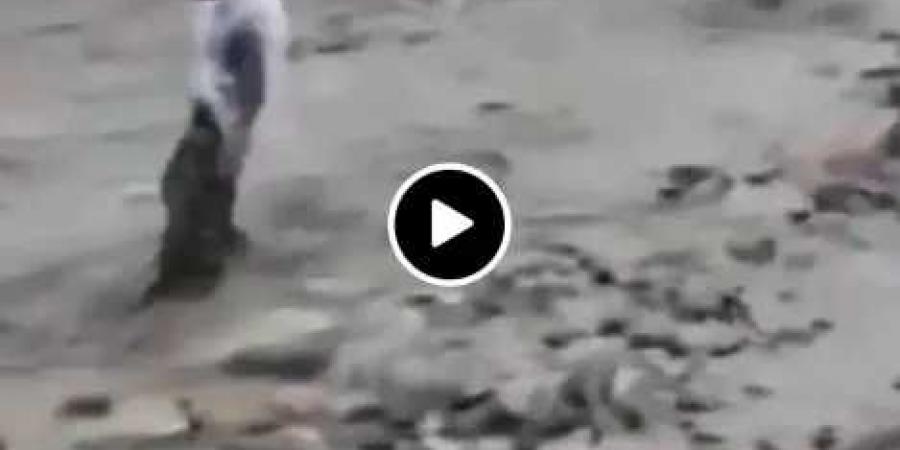 كأنه في الأفلام.. السيول تجرف مواطنًا أمام أعين المصورين.. وفقدان جثته (فيديو)