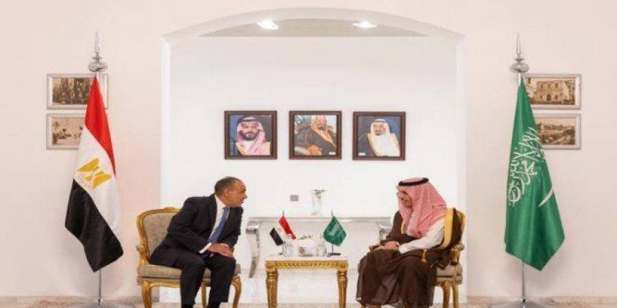 وزيرا خارجية مصر والسعودية يجددان رفضهما للعدوان الإسرائيلي على غزة