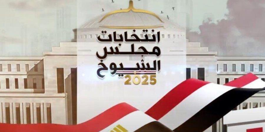 عاجل.. بدء تصويت المصريين بالخارج في جولة الإعادة بانتخابات مجلس الشيوخ