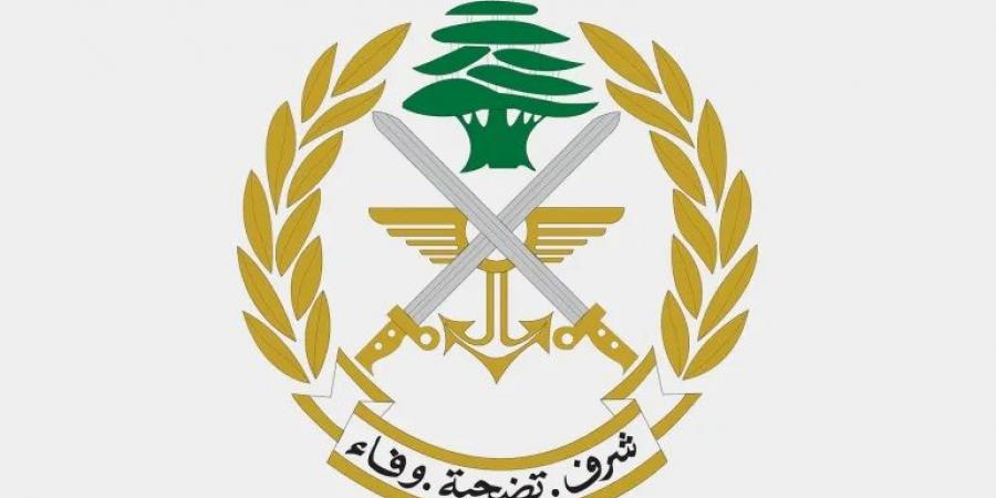 العثور على صواعق غير منفجرة من مخلفات العدوان الإسرائيلي في باتوليه والجيش يعمل على تفكيكها