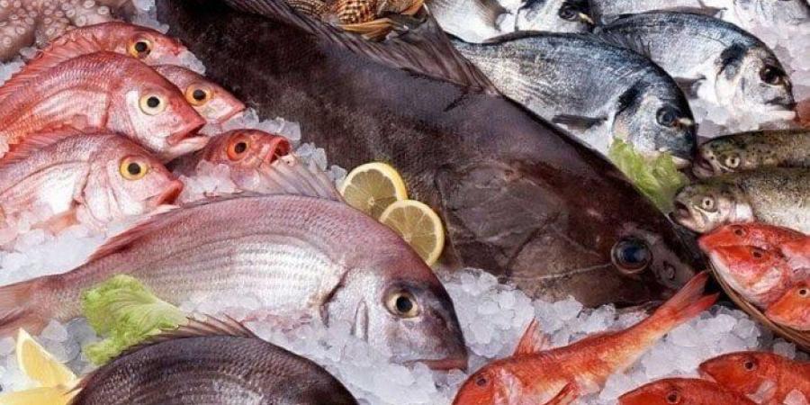 أسعار الأسماك والجمبري اليوم الاثنين 25 أغسطس 2025