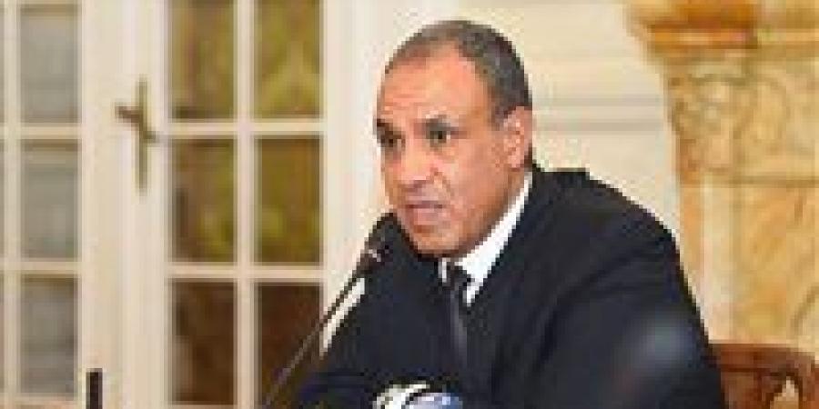 وزير الخارجية: مصر صمام أمان للقضية الفلسطينية واستهداف سفاراتها قلب للحقائق واعتداء على السيادة
