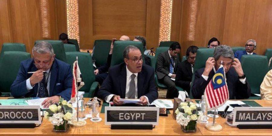 وزير الخارجية: إسرائيل تتحمل مسئولية استمرار الحرب فى غزة