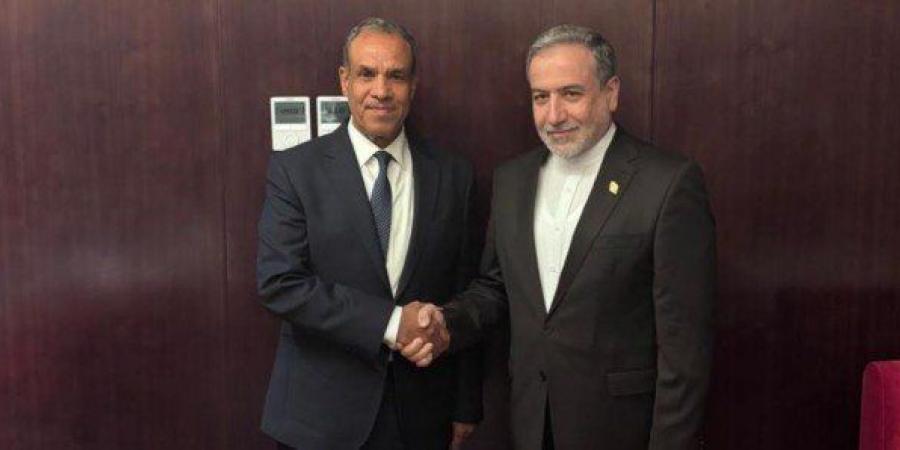 وزير الخارجية يستعرض الجهود التي تبذلها مصر لوقف العدوان الاسرائيلى على الشعب الفلسطيني