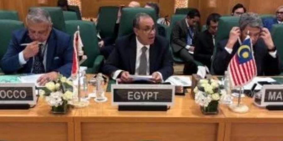 وزير الخارجية فى رسالة تحذيرية: لن نسمح بإقامة وهم "إسرائيل الكبرى"
