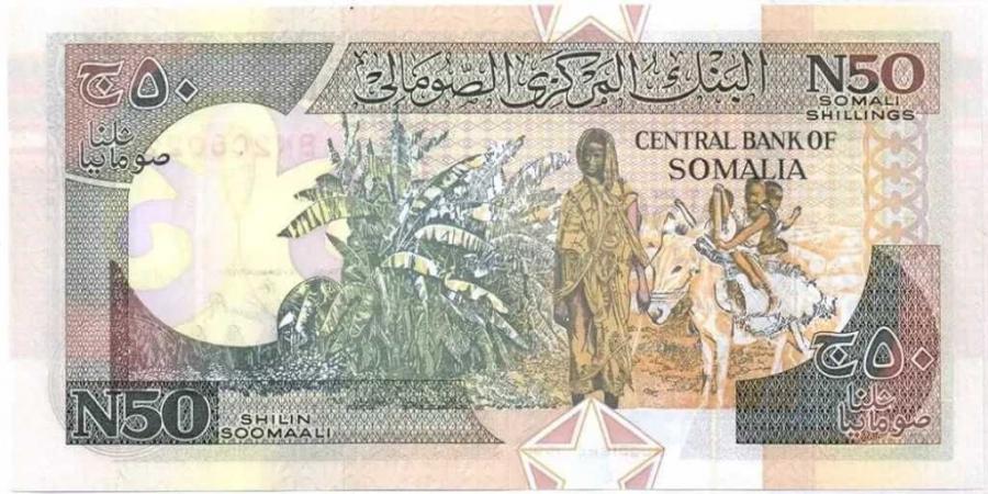 تحديث مفاجئ .. أسعار الشلن الصومالي مقابل الجنيه المصري بداية تعاملات اليوم الثلاثاء 26 - 8- 2025