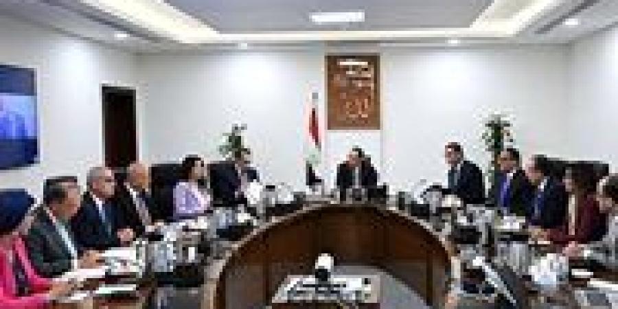 رئيس الوزراء يستعرض آليات تنفيذ مشروعات الكهرباء بالمدن الجديدة بنظام المشاركة مع القطاع الخاص