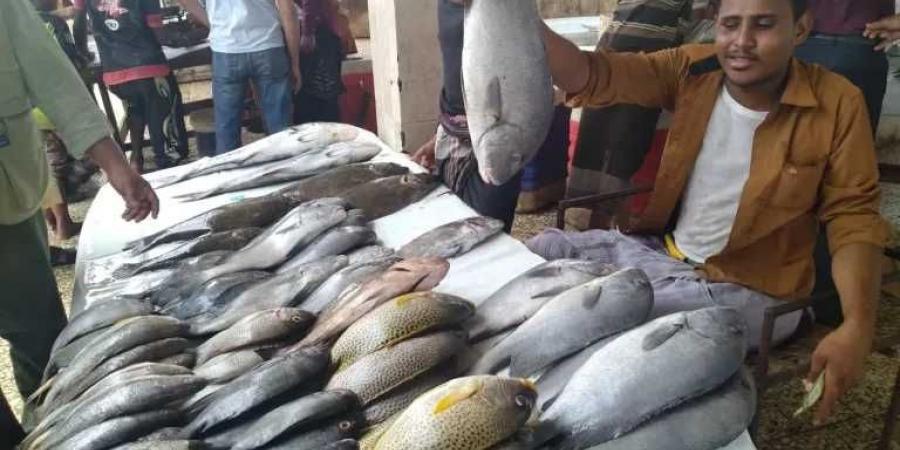 أسعار الأسماك اليوم الثلاثاء 26-8-2025 فى مصر