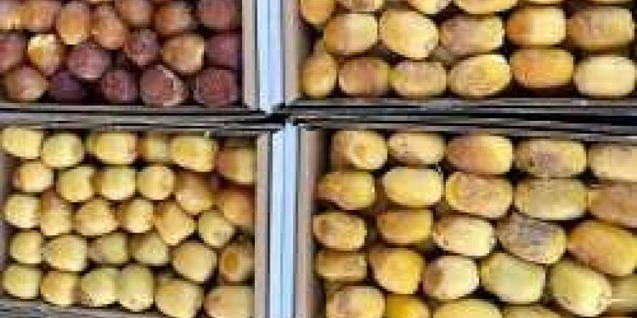 "واحة الطفل" ركن مخصص في كرنفال بريدة للتمور